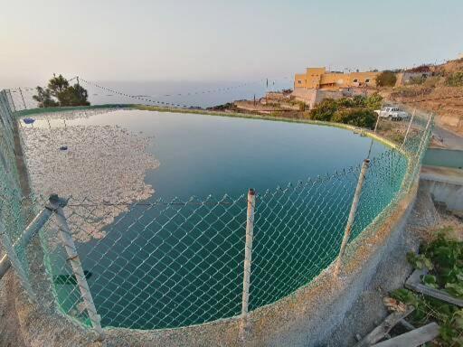 Refugio Secreto De Green Village Fasnia ภายนอก รูปภาพ