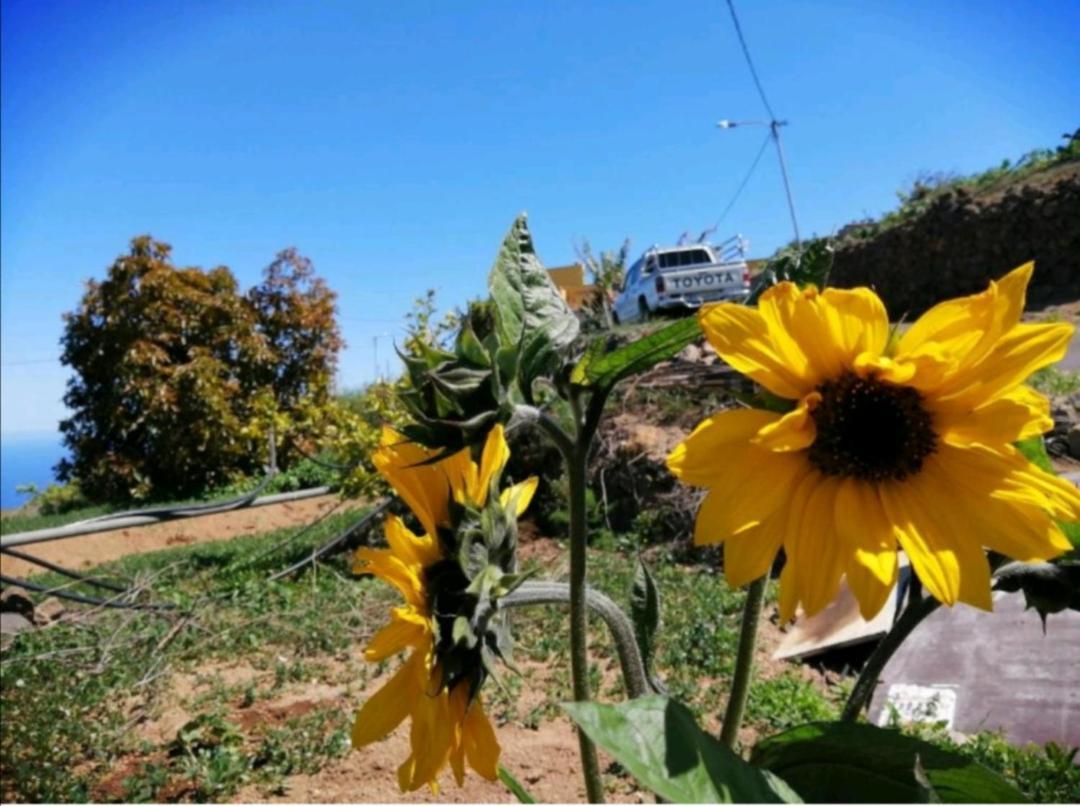 Refugio Secreto De Green Village Fasnia ภายนอก รูปภาพ