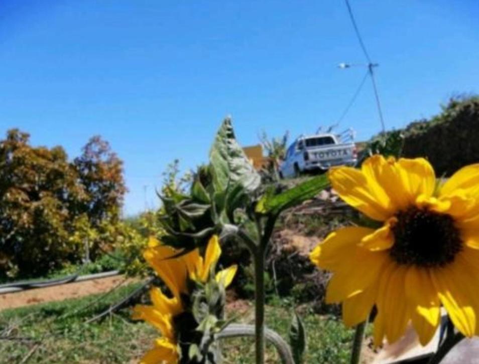Refugio Secreto De Green Village Fasnia ภายนอก รูปภาพ